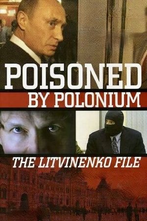 Бунт. Дело Литвиненко poszter