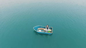 海带 háttérkép