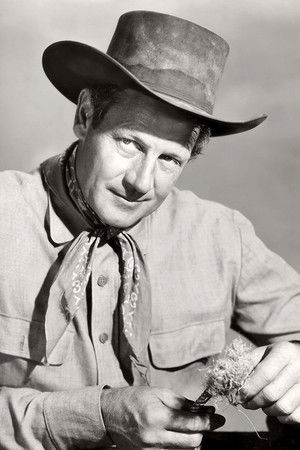 Cattle Drive poszter