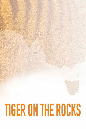 Tiger on the Rocks poszter