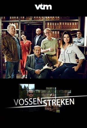 Vossenstreken poszter