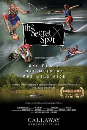 The Secret Spot poszter