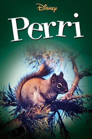 Perri poszter