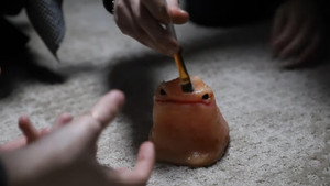 the making of liked háttérkép