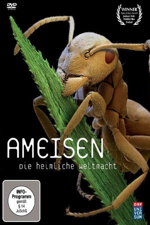 Ants - Nature's Secret Power poszter