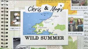 Chris and Meg's Wild Summer kép