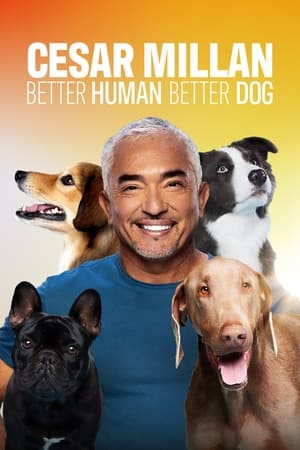 Cesar Millan: Jó gazdi, jó kutya