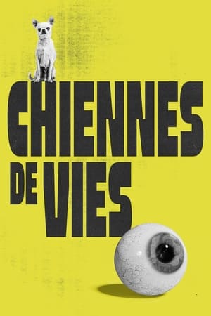 Chiennes de vies poszter