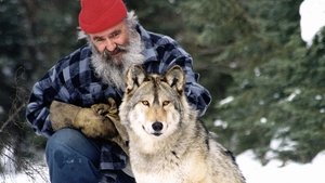 Il parle avec les loups háttérkép