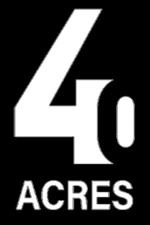 40 Acres poszter