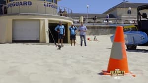 Bondi Rescue 12. évad Ep.6 6. epizód