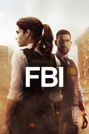 FBI: New York különleges ügynökei poszter