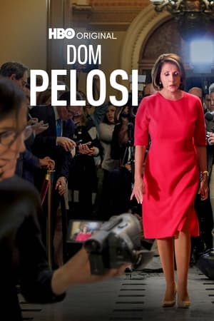 Pelosi in the House poszter