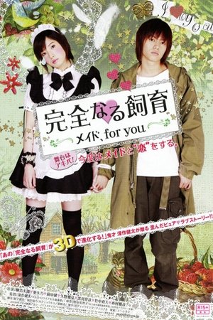 完全なる飼育 メイド、for you poszter
