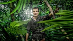 Bear Grylls: Sztárok a vadonban kép