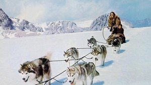 Die blutigen Geier von Alaska háttérkép