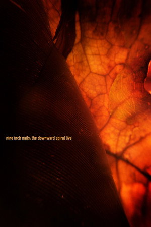 Nine Inch Nails: The Downward Spiral Live poszter