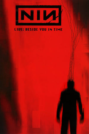 Nine Inch Nails: Beside You In Time poszter