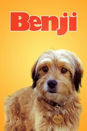 Benji