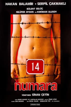 14 numara poszter