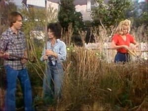 Three's Company 2. évad Ep.22 22. epizód