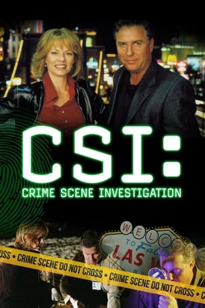 CSI: A helyszínelők poszter