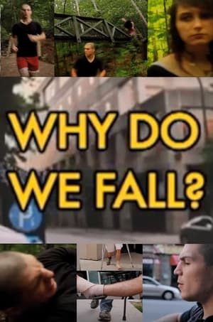 Why Do We Fall? poszter