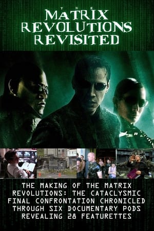 The Matrix Revolutions Revisited poszter