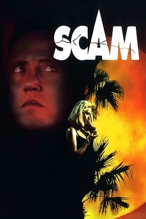 Scam poszter