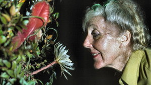 Margaret Mee and the Moonflower háttérkép