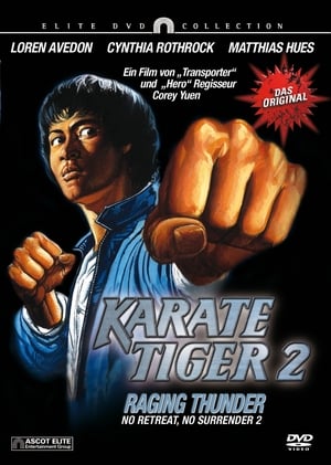 Karate tigris 2. - Villám kezek poszter