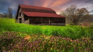 Appalachian Spring háttérkép