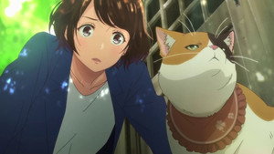 猫がくれたまぁるいしあわせ 1. évad Ep.1 1. epizód