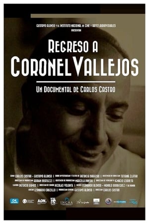 Regreso a Coronel Vallejos poszter