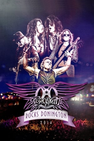 Aerosmith – Rocks Donington 2014 poszter