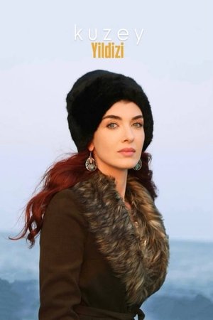 Kuzey Yıldızı: İlk Aşk poszter