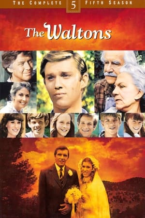 The Waltons