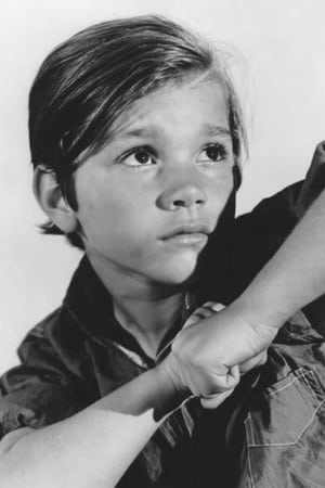 Darryl Hickman