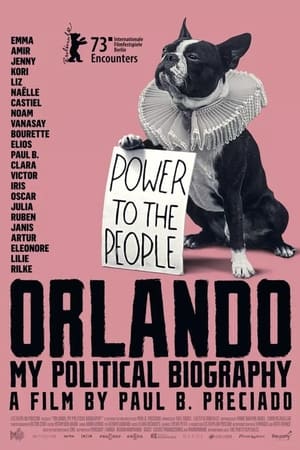 Orlando, ma biographie politique poszter