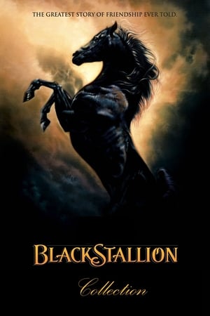 The Black Stallion filmek