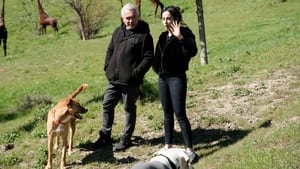 Cesar Millan: Jó gazdi, jó kutya 5. évad Ep.1 1. epizód