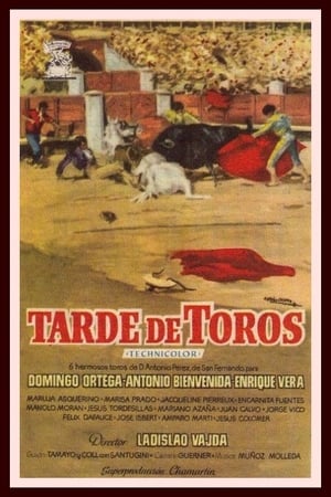 Tarde de toros poszter