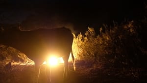 Luces del desierto háttérkép