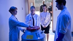 The Lottery Season 1 Ep.2 2. epizód