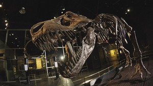 Dinosaur Extinction: Behind the Asteroid Impact Theory háttérkép