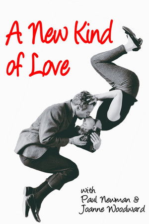 A New Kind of Love poszter
