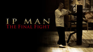 Ip Man: A végső harc háttérkép