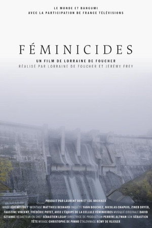 Féminicides poszter