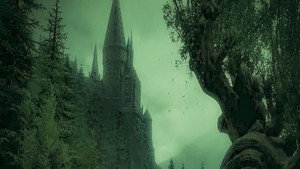 Harry Potter kép