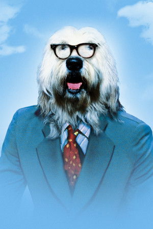 The Shaggy D.A. poszter